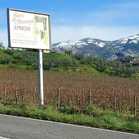 La Loggetta Di Apricus Villa Olevano Romano Екстериор снимка
